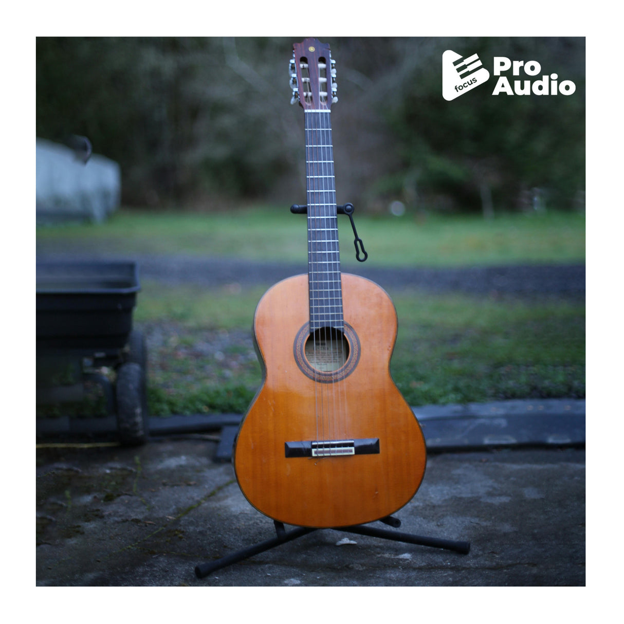 ESP LTD TE-201 Black Satin Guitar Bundle