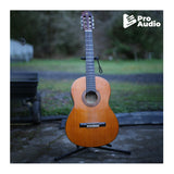 ESP LTD TE-201 Black Satin Guitar Bundle