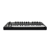 Moog Messenger Monophonic Analog Synthesizer 32-Key Velocity-Sensitive Keyboard