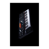 Arturia MiniFreak 37-Key Hybrid Synthesizer with 6-Voice Polyphony