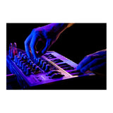 Arturia MicroBrute UFO Analog Synthesizer with USB MIDI and Mini-Keyboard