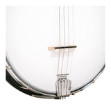 Gold Tone AC-4: Acoustic Composite 4-String Openback Tenor Banjo with Gig Bag