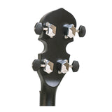 Gold Tone AC-4: Acoustic Composite 4-String Openback Tenor Banjo with Gig Bag