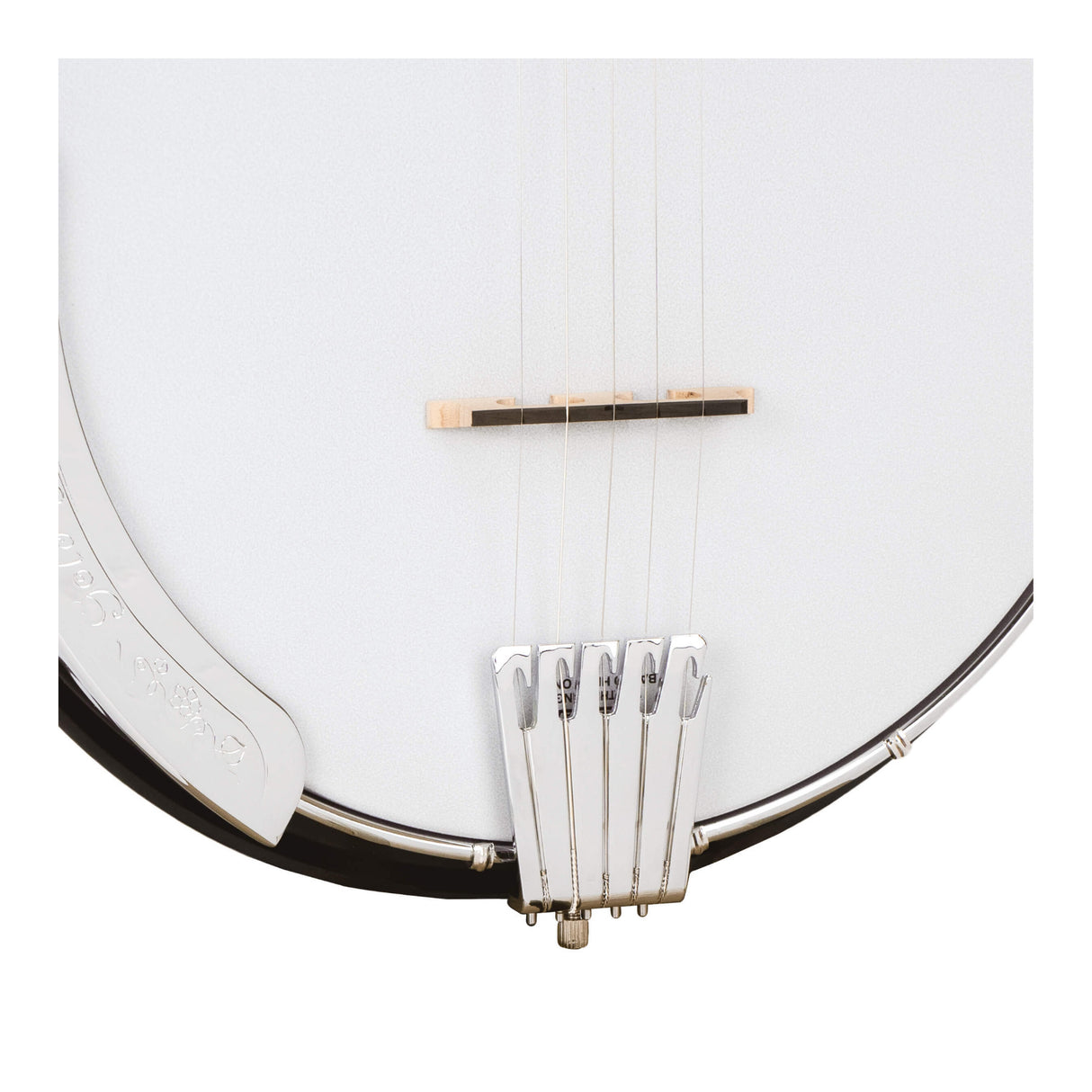 Gold Tone AC-5 w/bagAC-5: Acoustic Composite 5-String Banjo with Gig Bag
