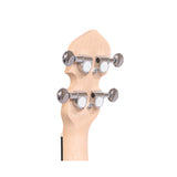 Gold Tone Little Gem See-through Banjo Ukulele (Sapphire) with Gig Bag