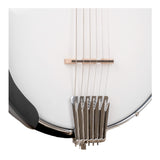 Gold Tone AC-6 Mini: Acoustic Composite Banjitar with Gig Bag