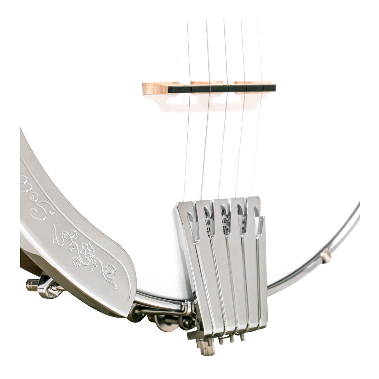 Gold Tone CC-50: Cripple Creek Openback Banjo with Gig Bag