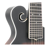 Gold Tone F-12: 12-string F-style Mando-Guitar with Pickup and Case