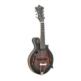 Gold Tone F-6: 6-string F-style Mando-Guitar with Pickup and Case