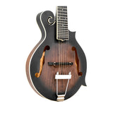 Gold Tone F-6: 6-string F-style Mando-Guitar with Pickup and Case
