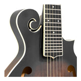 Gold Tone F-6: 6-string F-style Mando-Guitar with Pickup and Case