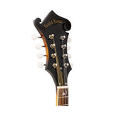 Gold Tone GM-35 F-Style Mandolin (Tobacco Sunburst) with Case