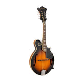 Gold Tone GM-35 F-Style Mandolin (Tobacco Sunburst) with Case