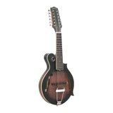 Gold Tone F-12: 12-string F-style Mando-Guitar with Pickup and Case