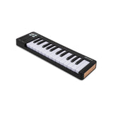 Arturia MicroLab mk3 25-Key Portable MIDI Controller Keyboard (Black)