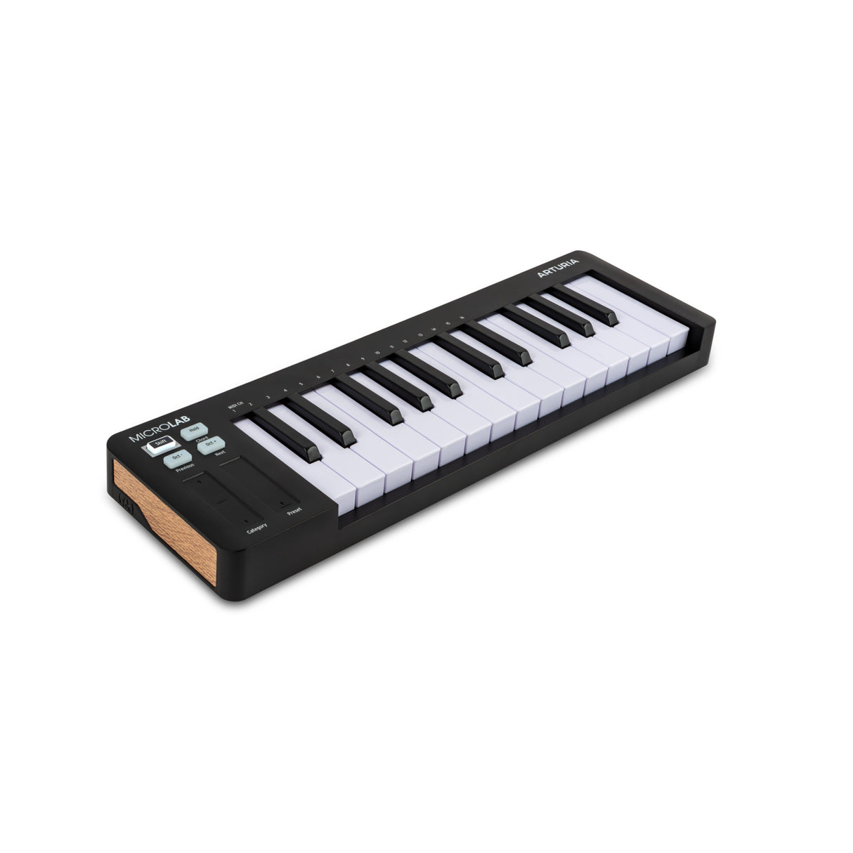 Arturia MicroLab mk3 25-Key Portable MIDI Controller Keyboard (Black)