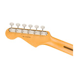 Fender American Professional Classic Stratocaster Electric Guitar (Faded Black)