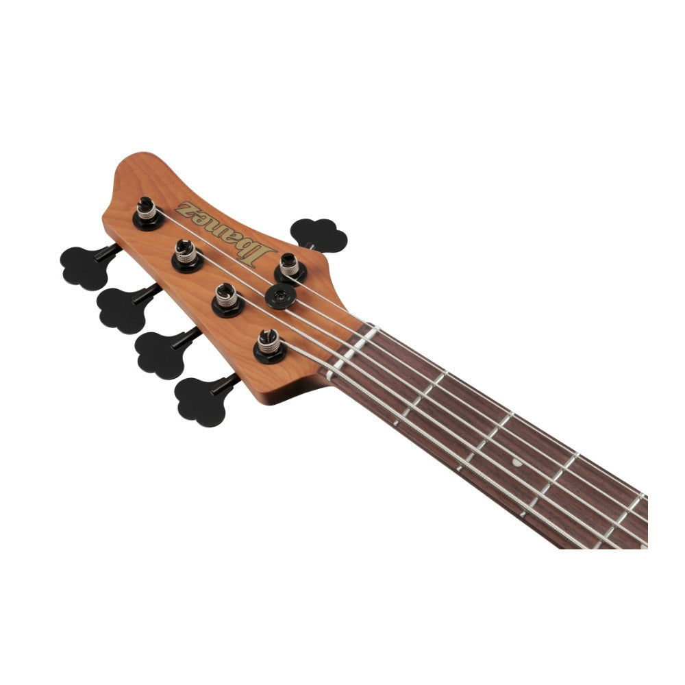 Ibanez MDM 5-String Electric Bass Guitar with Gig Bag (Natural Mocha Low Gloss)
