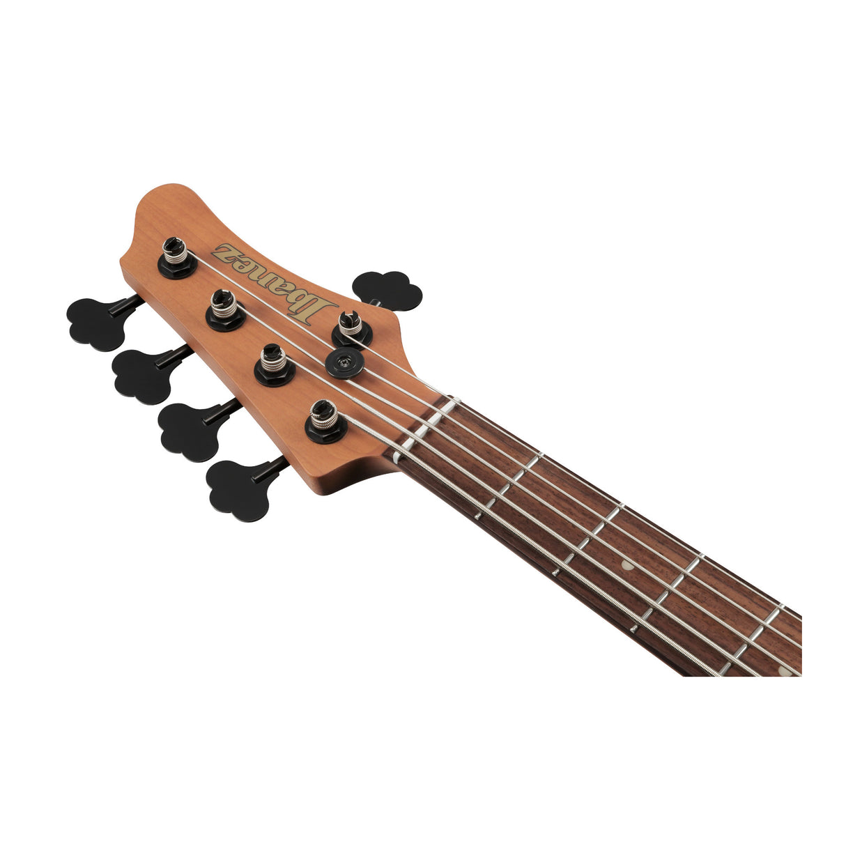 Ibanez Ibanez MDM 5str Electric Bass with Gig Bag (Midnight Arctic Ocean Matte)