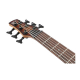 Ibanez SR Standard 6str Electric Bass (Mahogany Brown Burst Low Gloss)