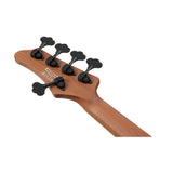 Ibanez MDM 5-String Electric Bass Guitar (Natural Stained Amber Burst)
