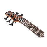 Ibanez SR Standard 5-String Electric Bass Guitar (Mahogany Brown Burst)