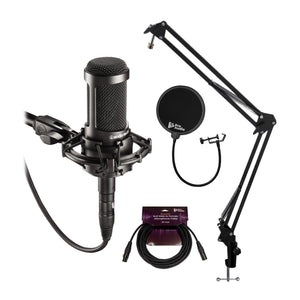 Condenser & Recording Mics