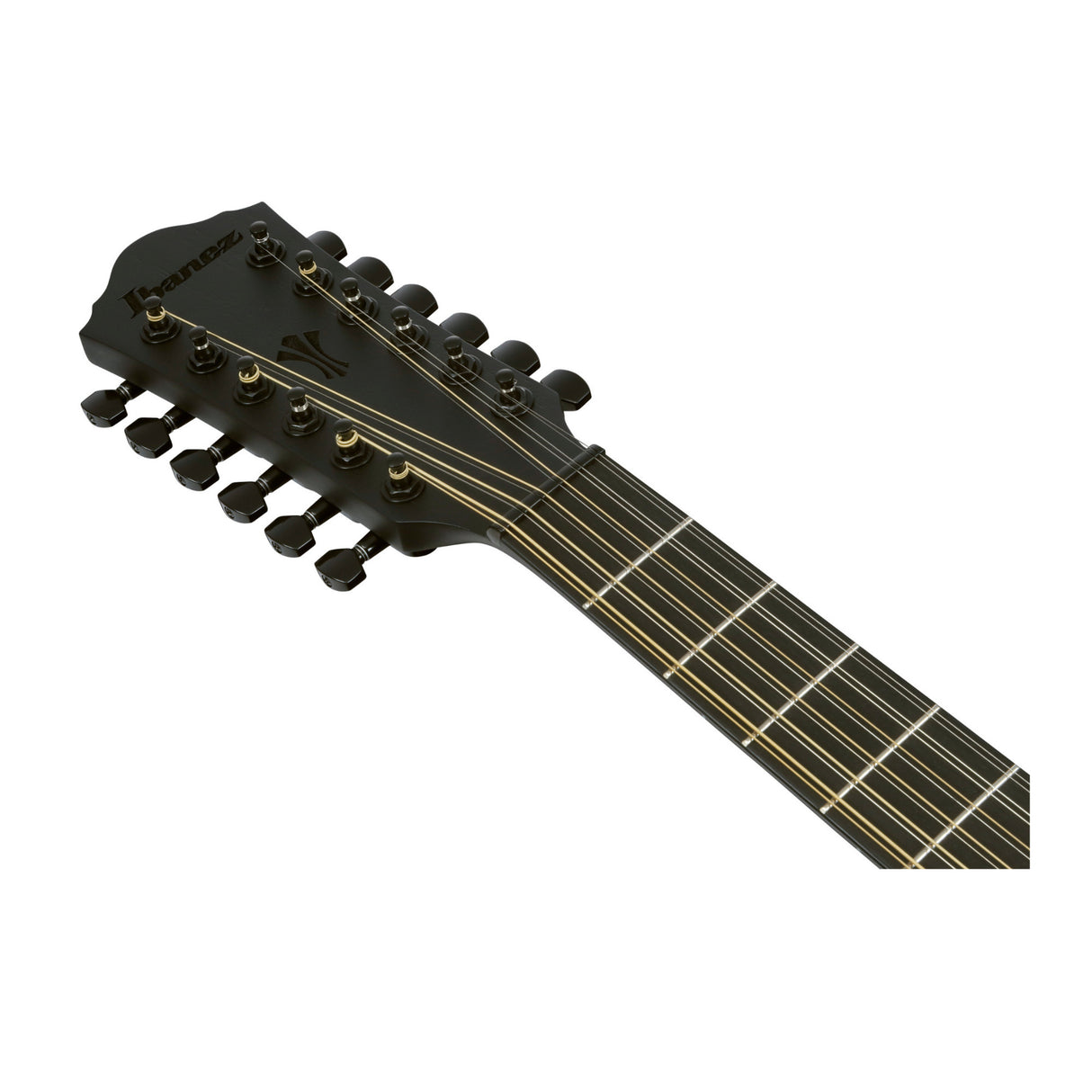 Ibanez AEG1221 Black Out Acoustic Electric Guitar with Spruce Top