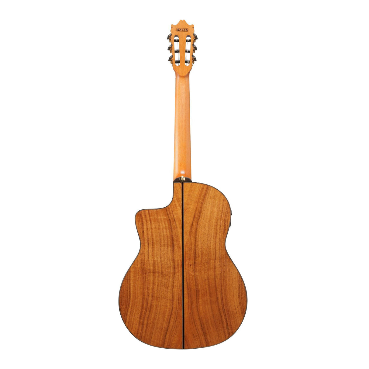 Ibanez GA3007CE Acoustic Electric Guitar with Hard Case (Natural High Gloss)