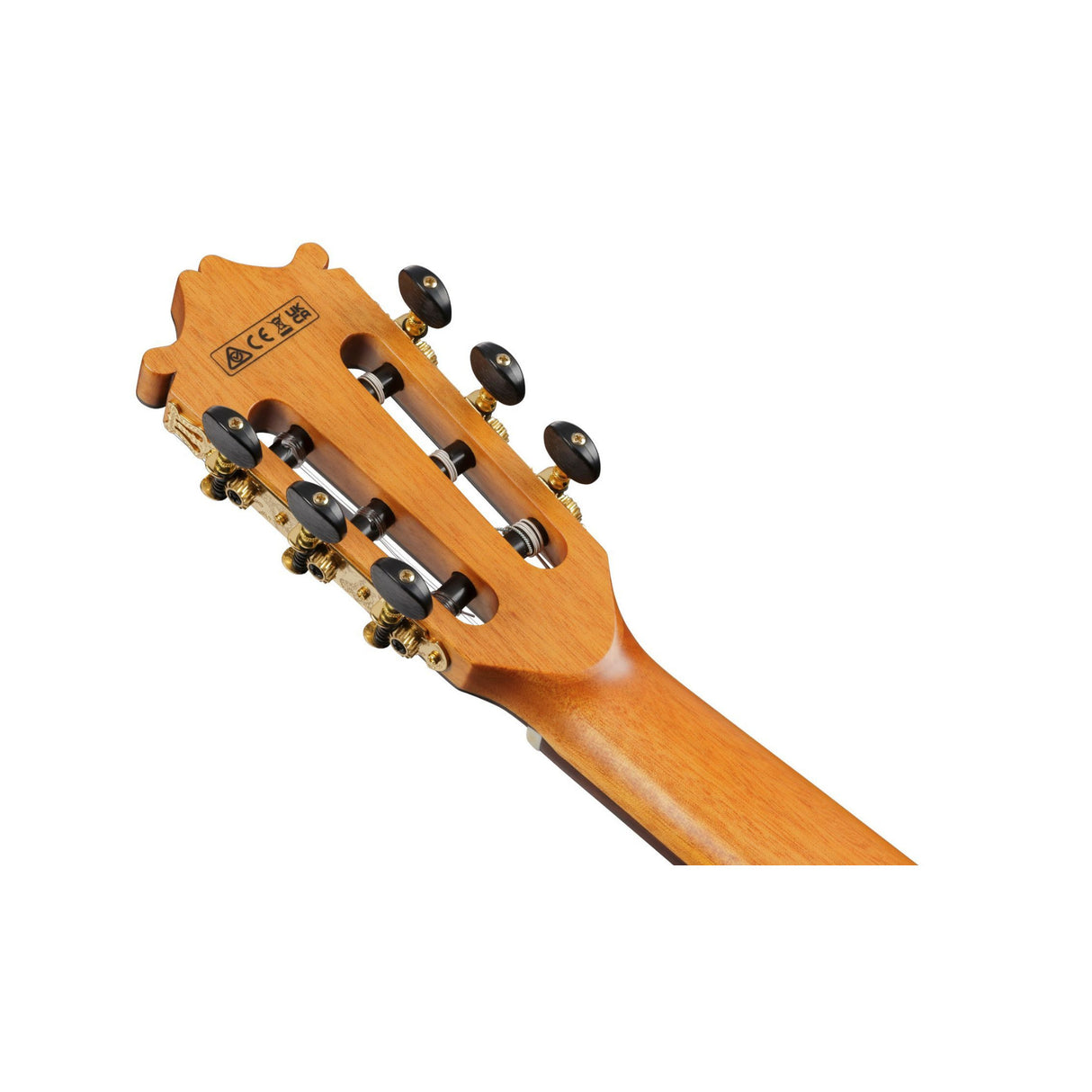 Ibanez GA3007CE Acoustic Electric Guitar with Hard Case (Natural High Gloss)