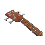 Ibanez PCB54E 4-String Right-Hand Acoustic Electric Bass (Open Pore Natural)