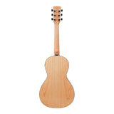 Ibanez PN2MD 6-String Right-Hand Acoustic Guitar (Open Pore Natural)