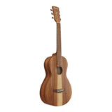 Ibanez PN2WS 6-String Right-Hand Acoustic Guitar (Open Pore Brown)