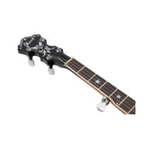 Ibanez Limited Edition BA250 250th Anniversary Banjo (Natural High Gloss)