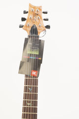 PRS SE Paul's Guitar  Electric Guitar - Turquoise (Used)