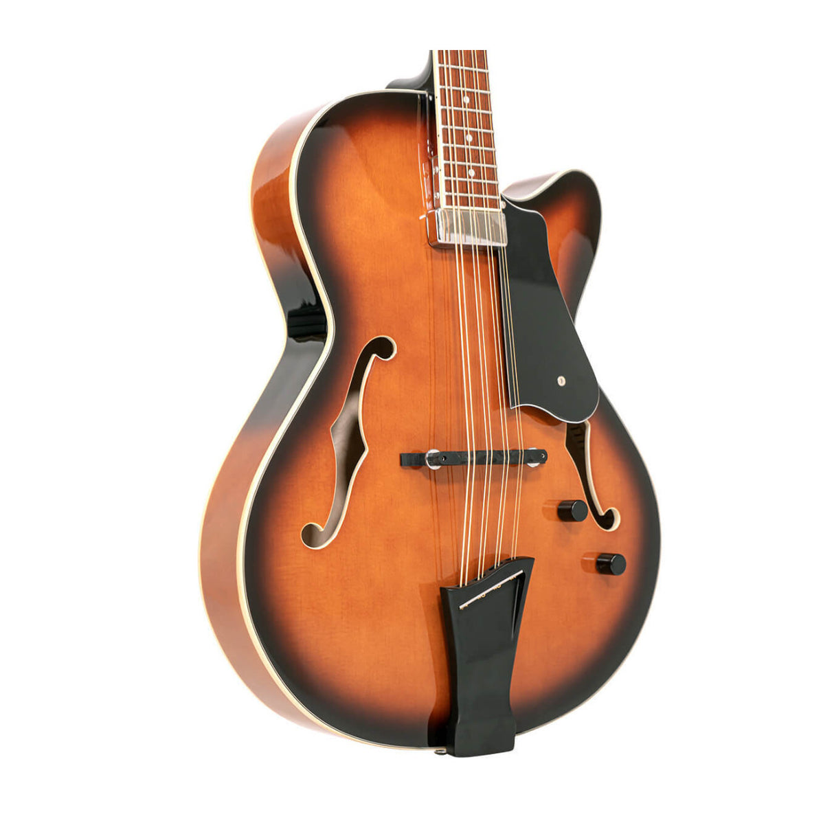 Gold Tone Mandocello with Solid Spruce Top and Dual Pickup System Case Included