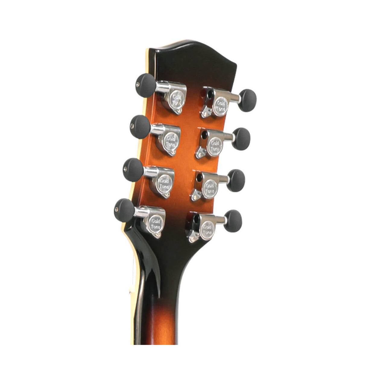 Gold Tone Mandocello with Solid Spruce Top and Dual Pickup System Case Included