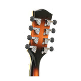 Gold Tone Mandocello with Solid Spruce Top and Dual Pickup System Case Included