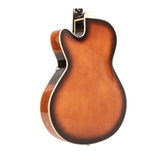 Gold Tone Mandocello with Solid Spruce Top and Dual Pickup System Case Included