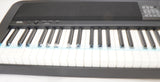 Korg XE20 88-Key Natural-Touch Digital Ensemble Piano (Open Box)