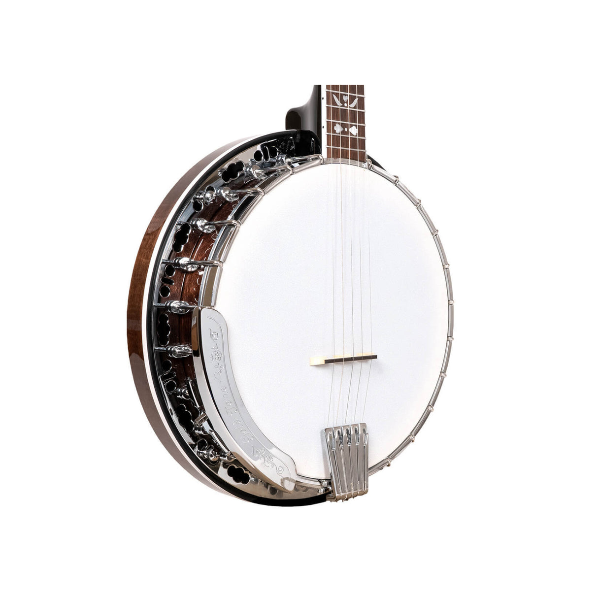 Gold Tone BG-150F: Bluegrass Banjo with Flange and Bag (Vintage Brown)