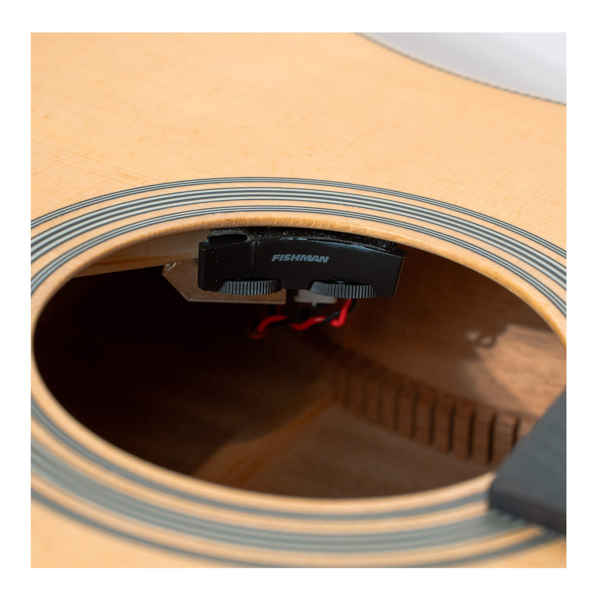 Gold Tone The Dread Acoustic-Electric Guitar with Bag (Satin Natural)