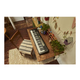 Casio 61-Key Portable Keyboard with 400 Tones and Touch Response