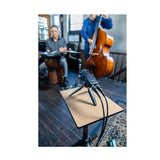 Zoom H4essential 4-Track Handy Recorder and Hairy Windscreen Bundle