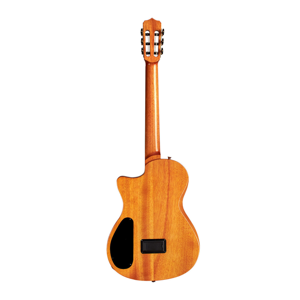 Cordoba Stage Nylon 6-String Electric Guitar with Gig Bag (Natural Amber)