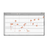 Melodyne 5 Essential Audio Pitch and Timing Correction Software for Music Production