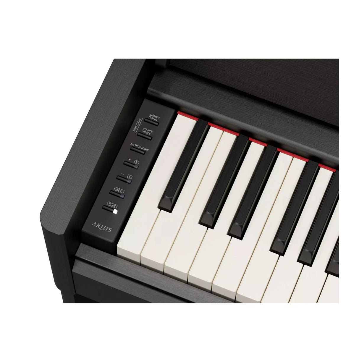 Yamaha Arius YDP-S56 88-Key Digital Home Piano with 3 Pedals (Black Walnut)