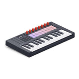 Novation FLkey 2 Mini 25—25 Mini-Key MIDI Keyboard Controller for FL Studio with RGB Pads