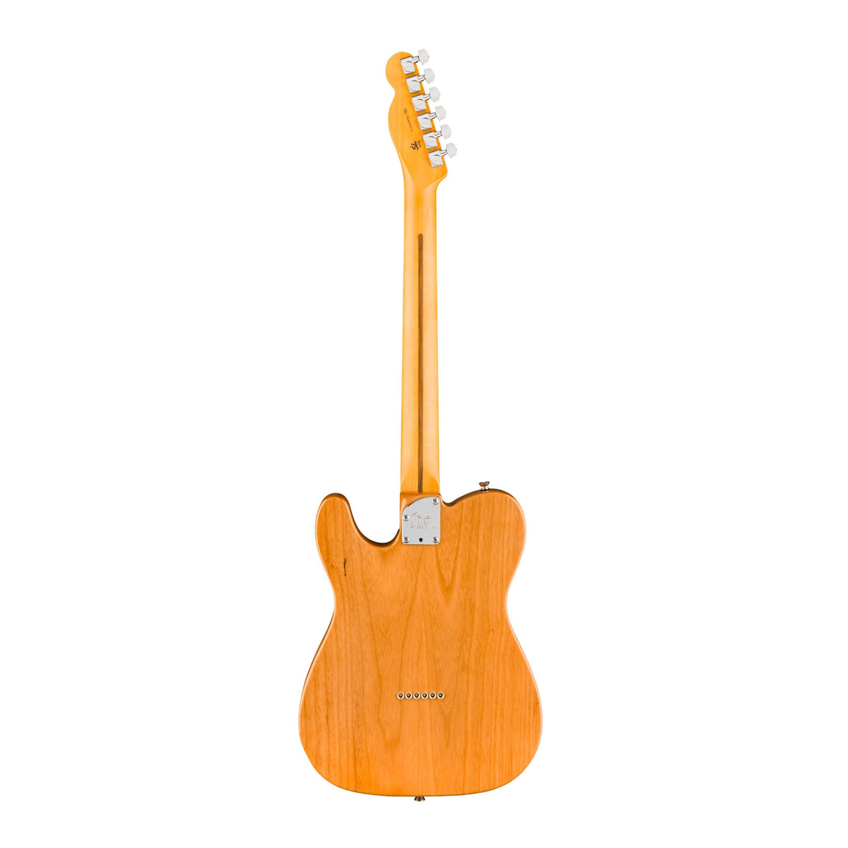 Fender American Professional Telecaster Electric Guitar with Rosewood Fingerboard (Natural)
