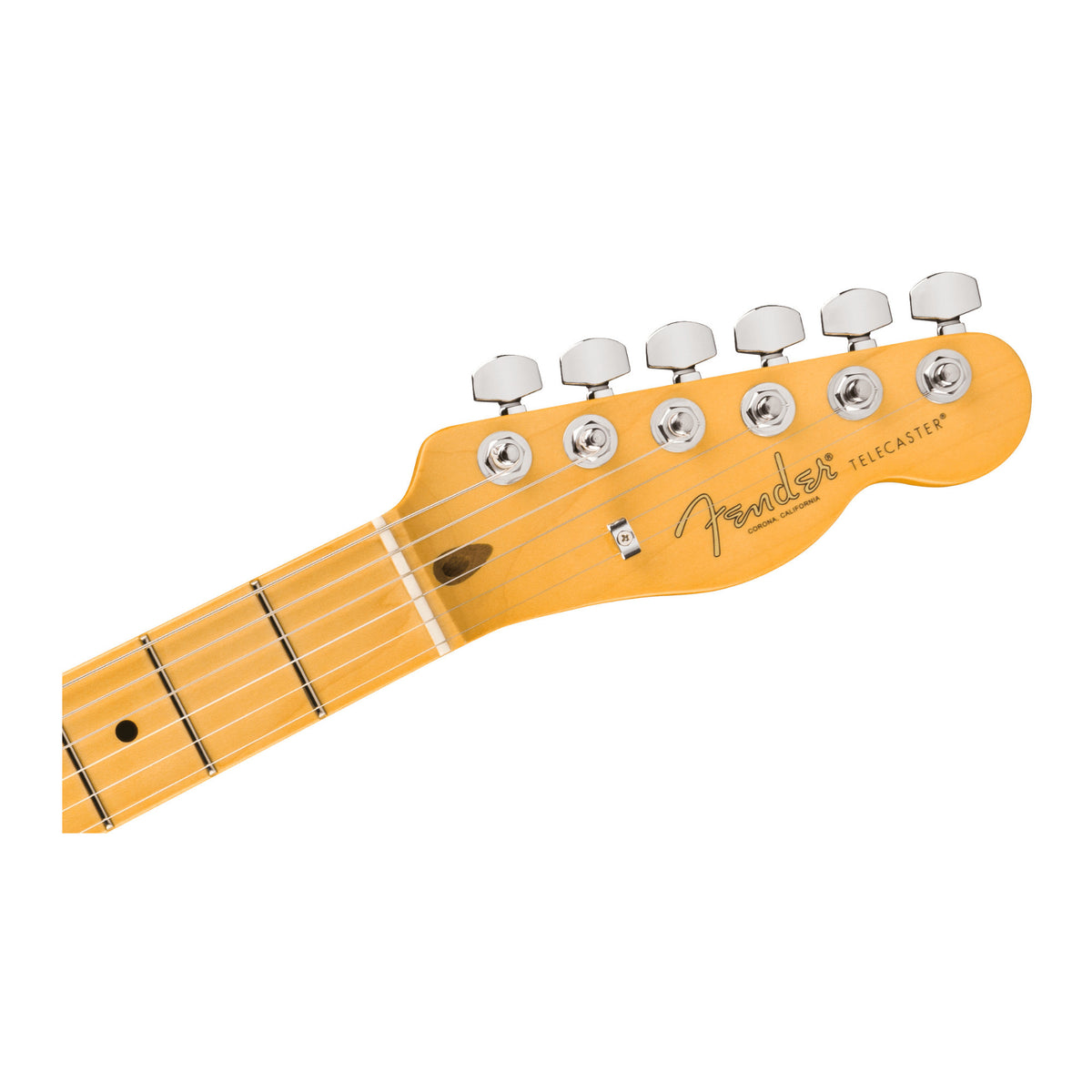 Fender American Professional Telecaster with Maple Fingerboard Guitar (Oxblood)
